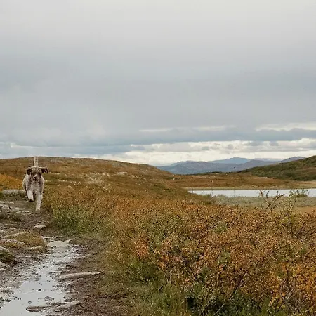 Modern Family With Views Of Spatind *