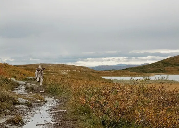 Modern Family With Views Of Spatind *